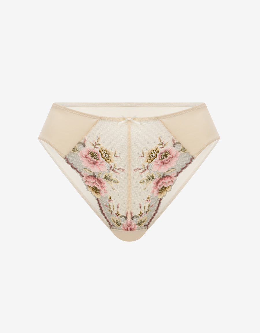 Lace And Mesh Brazilian