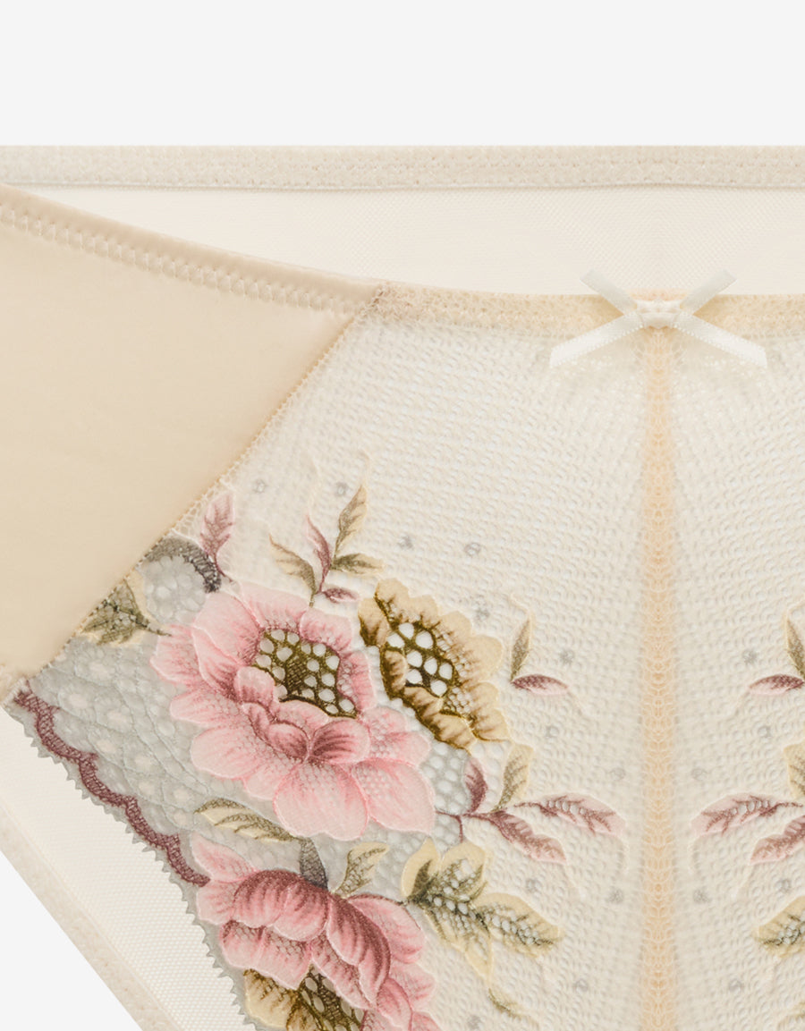 Lace And Mesh Brazilian