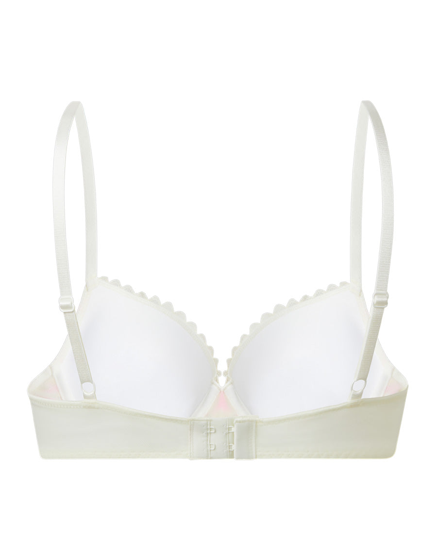 Double Push-Up Plunge Bra
