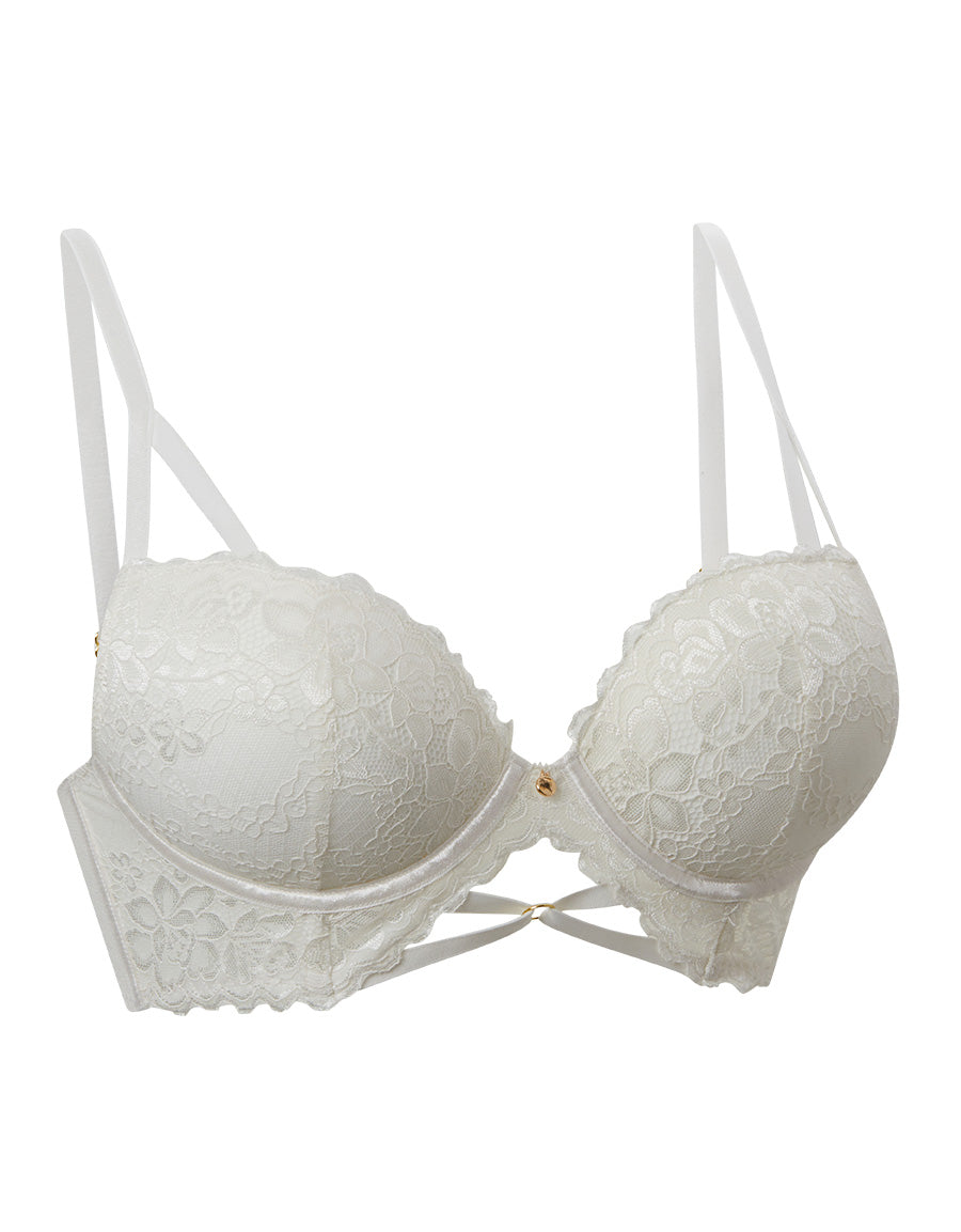 Double Push-Up Plunge Bra