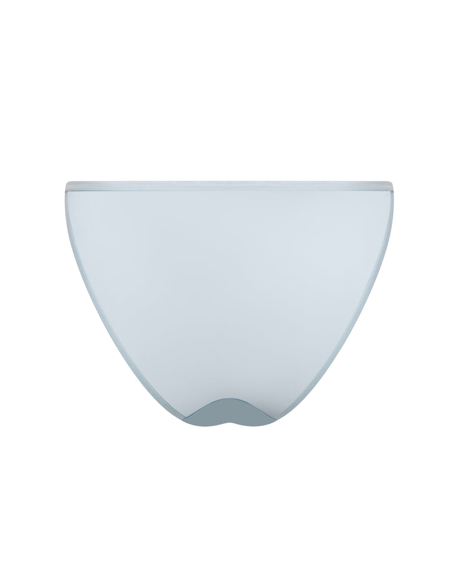 Shimmer Microfibre Tanga