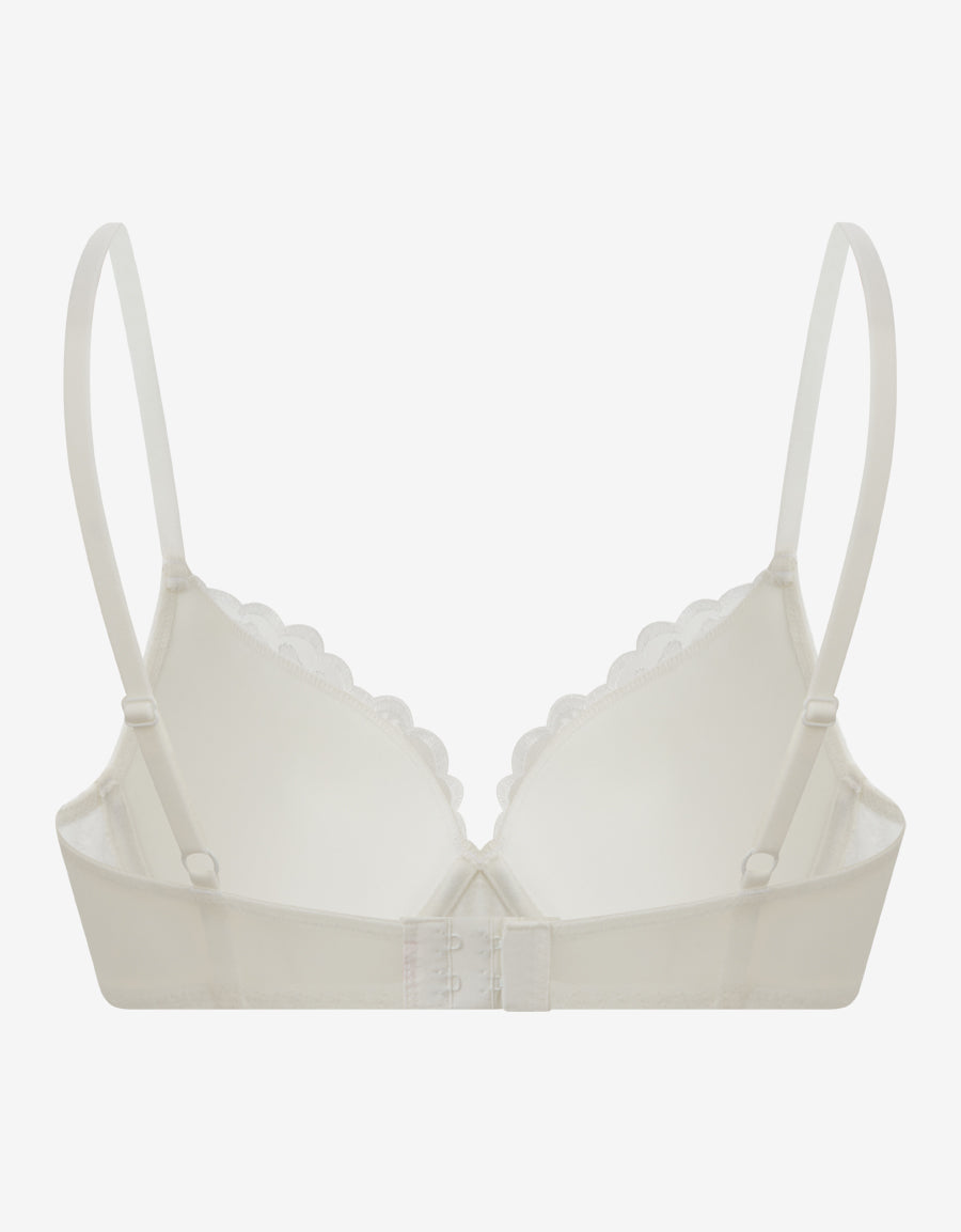 Embroidery Plunge Bra