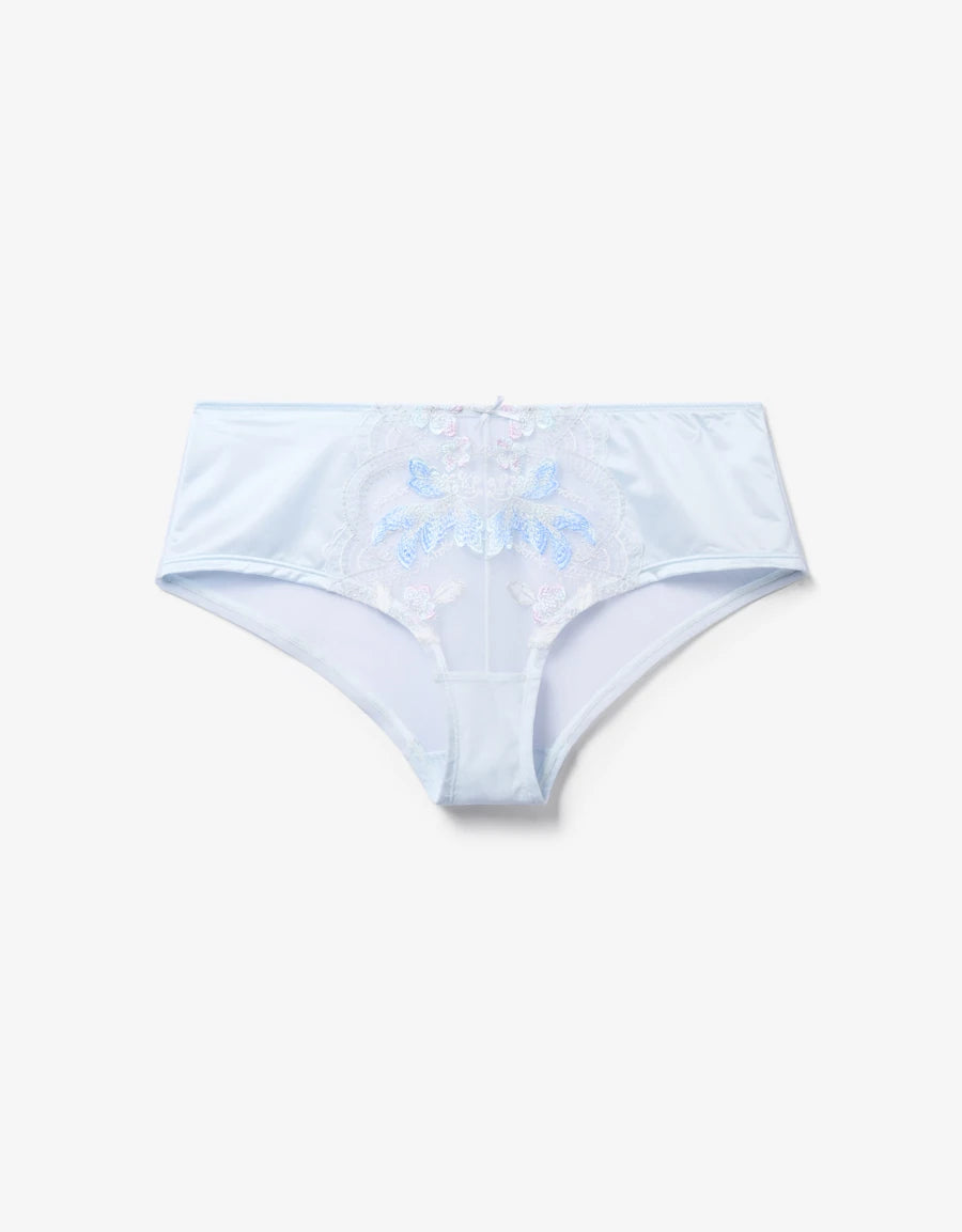 Embroidered Lace Bridal Hipster Panty