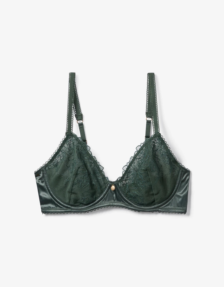 Embroidered Lace Plunge Bra