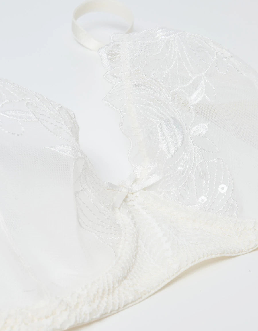 Embroidered Lace Plunge Bra