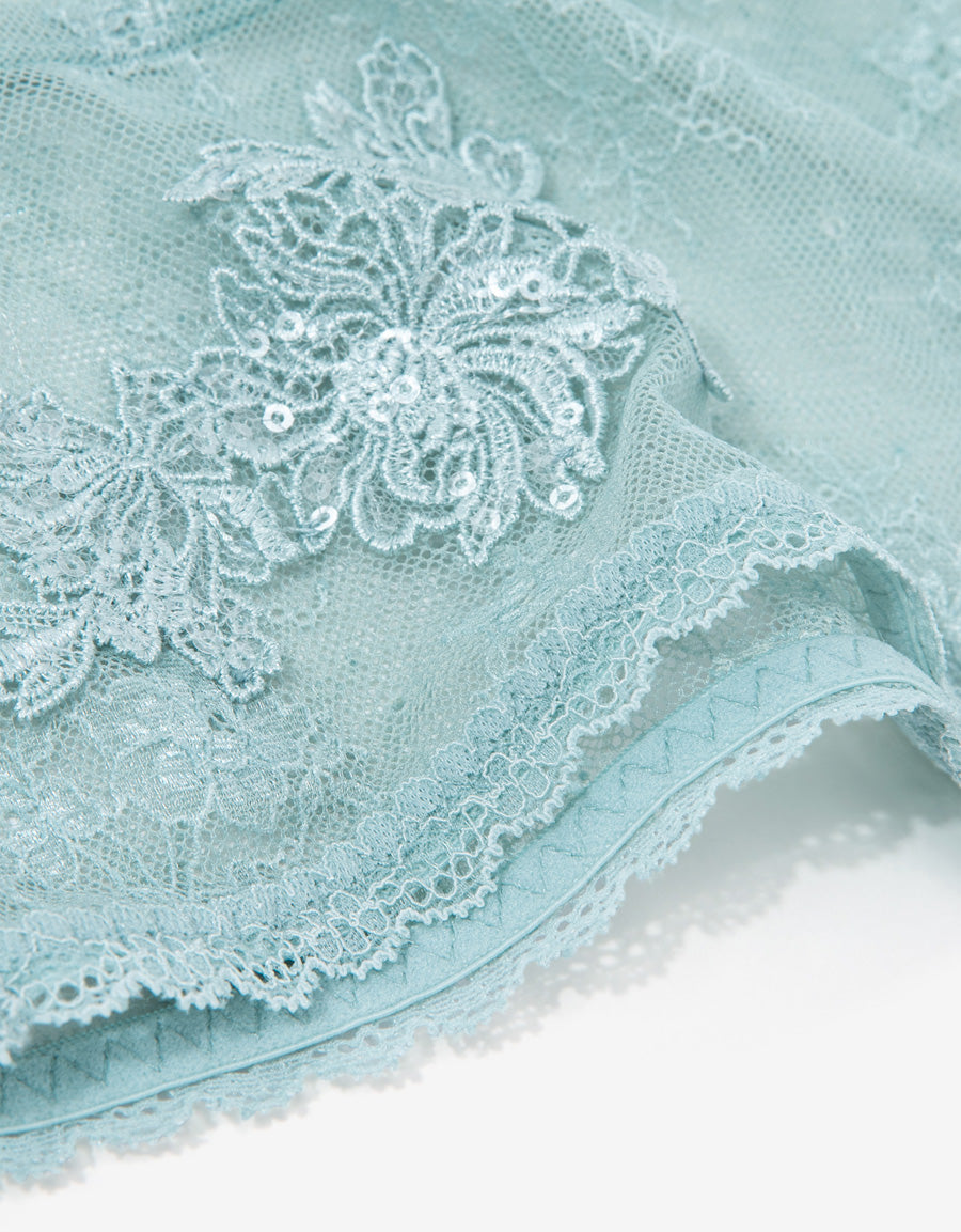 Sequin Embroidered Lace Hipster Panty