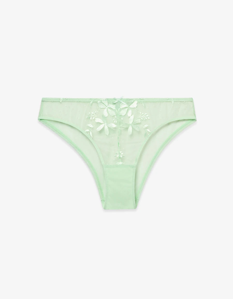 Embroidered Sheer Brazilian Panty
