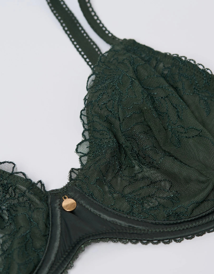 Embroidered Lace Plunge Bra