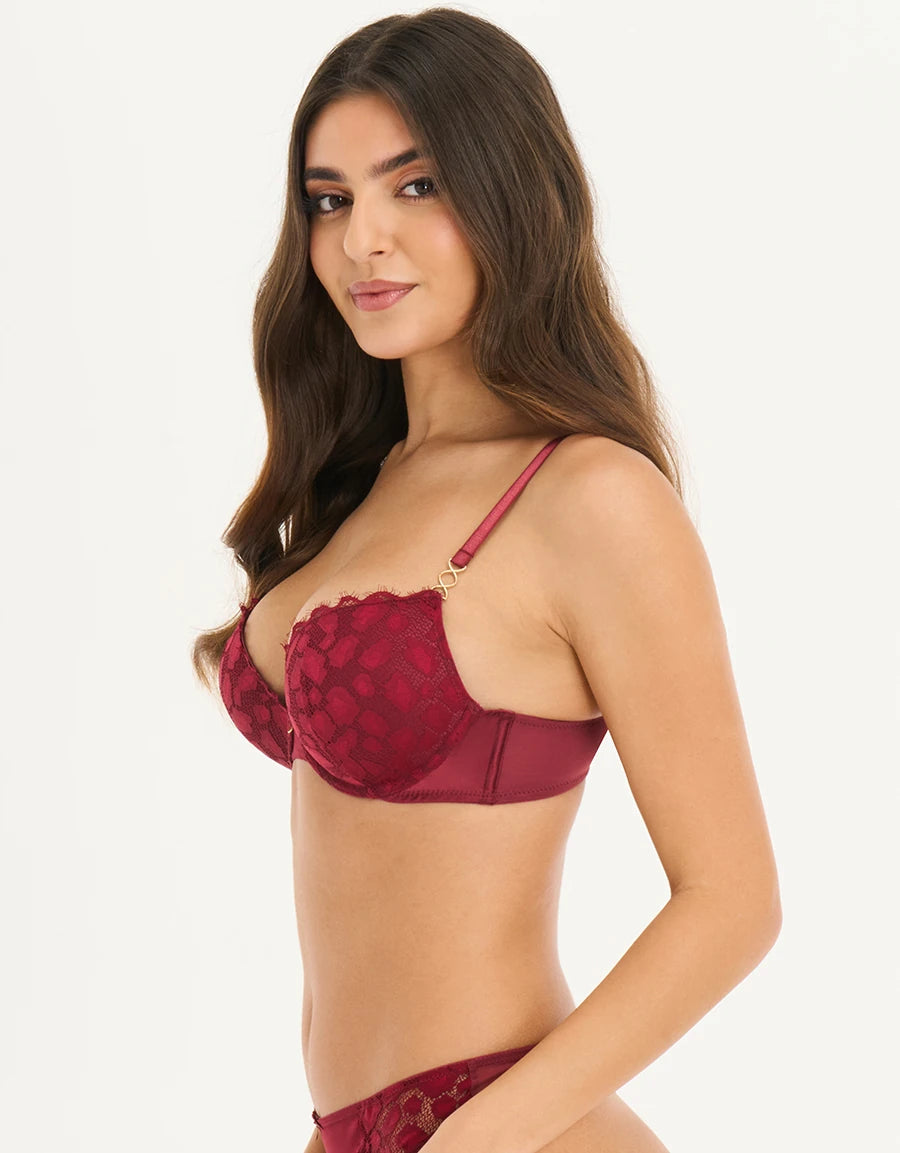 Lace Double Push-Up Plunge Bra