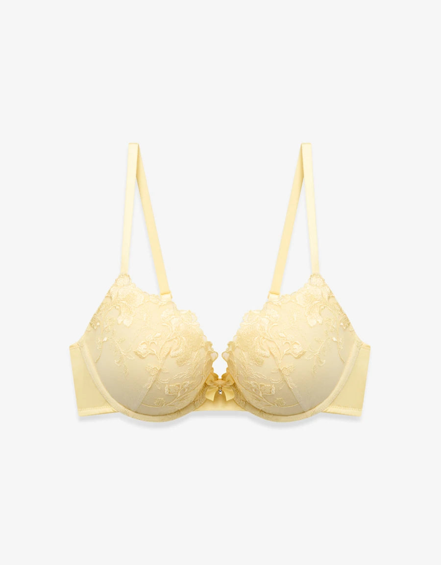 Embroidered Lace Push-Up Plunge Bra