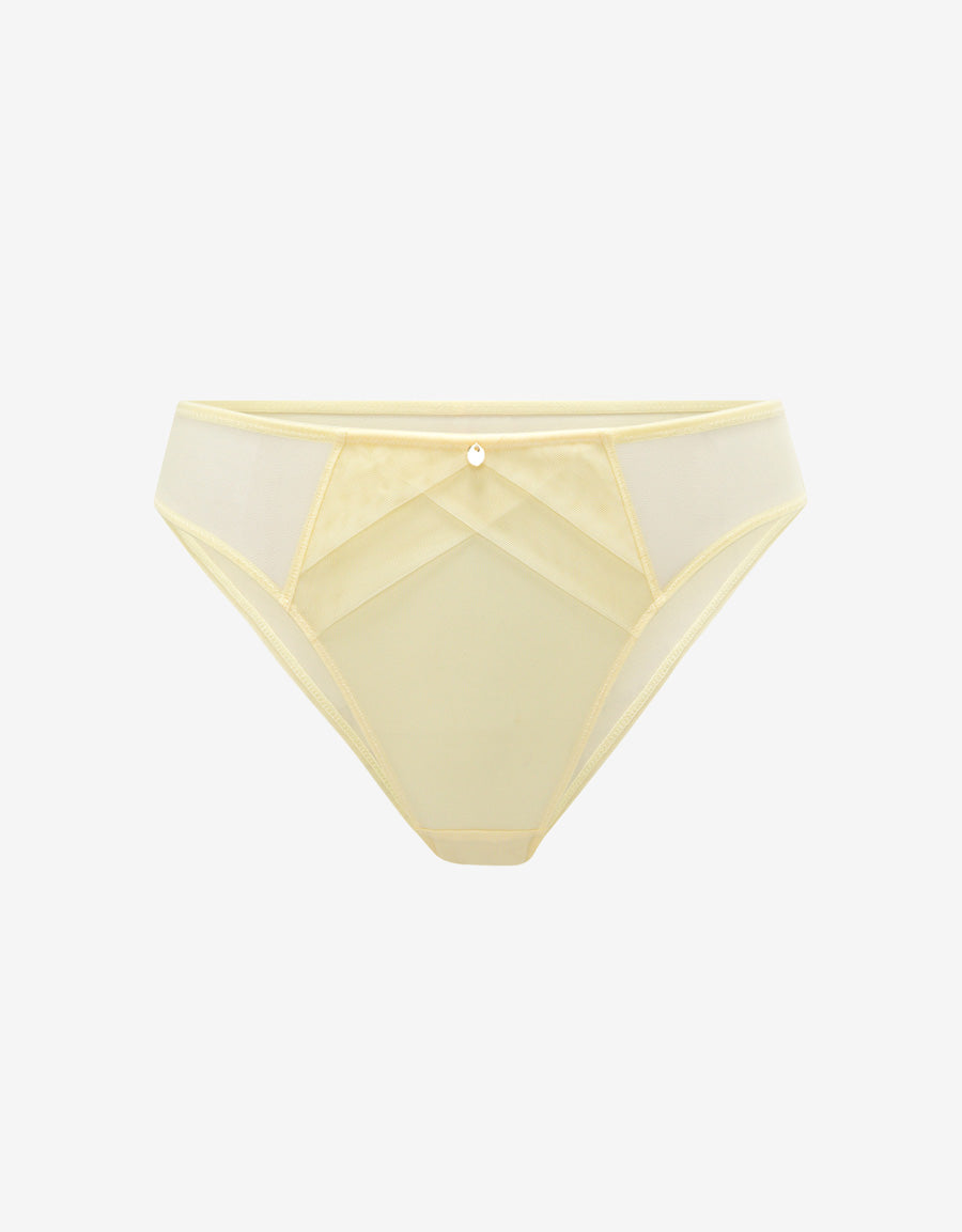 Mesh Microfiber Brazilian Panty