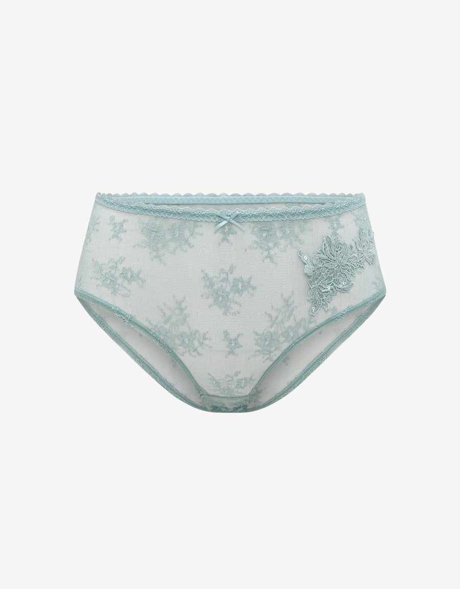 Sequin Embroidered Lace Hipster Panty