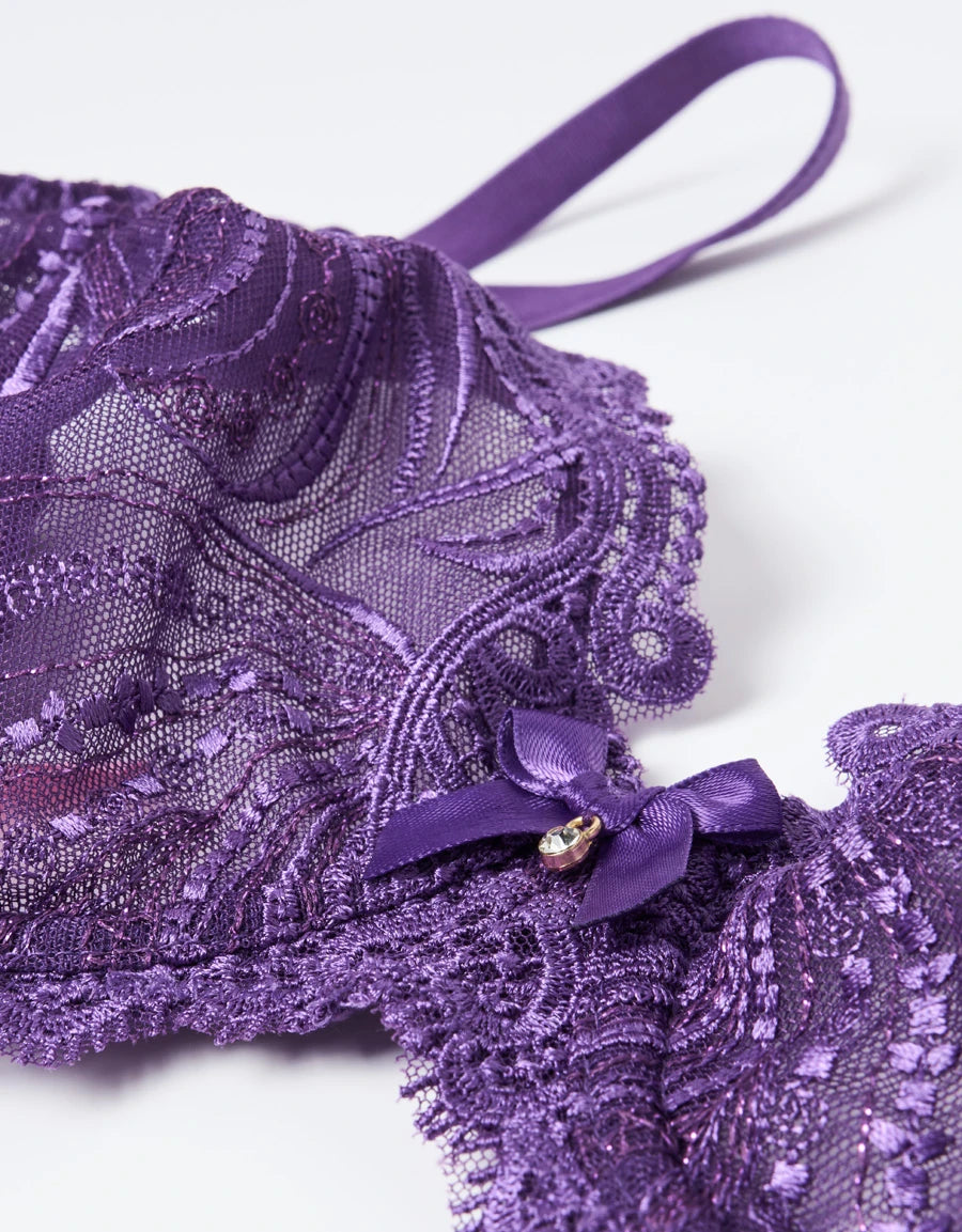 Embroidered Lace Plunge Bra