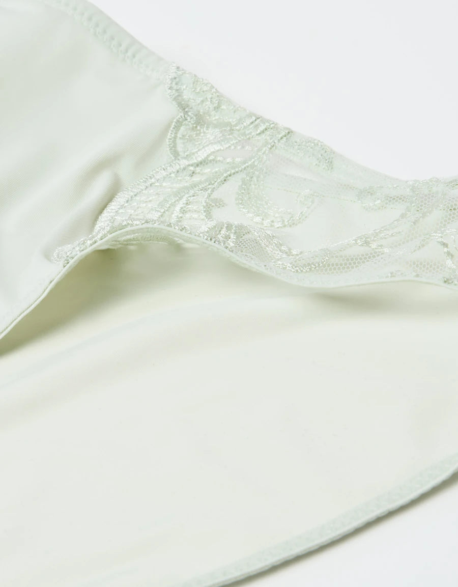 Embroidered Bikini Panty