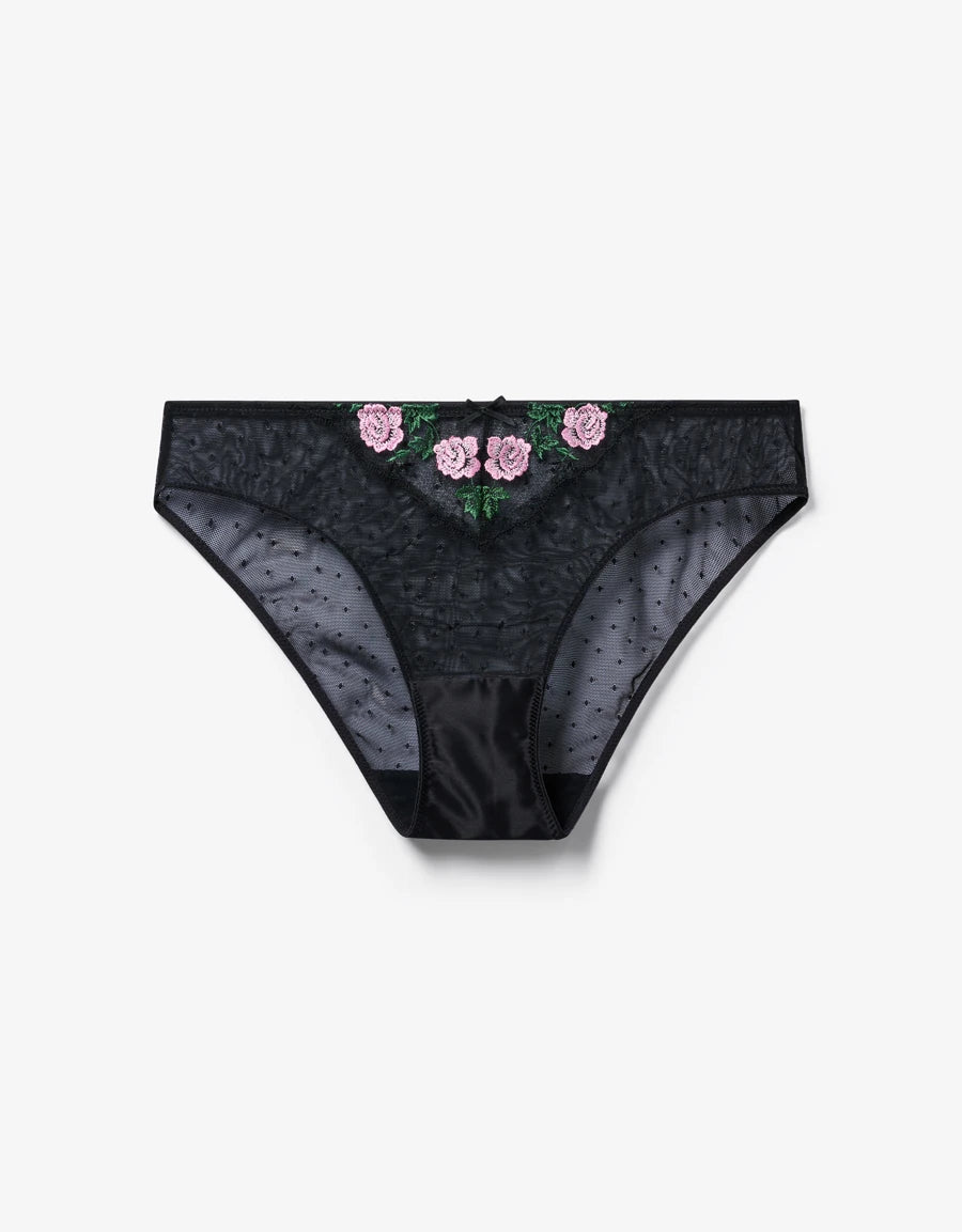 Embroidered Sheer Bikini Panty