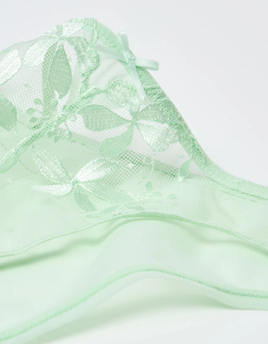 Embroidered Sheer Brazilian Panty
