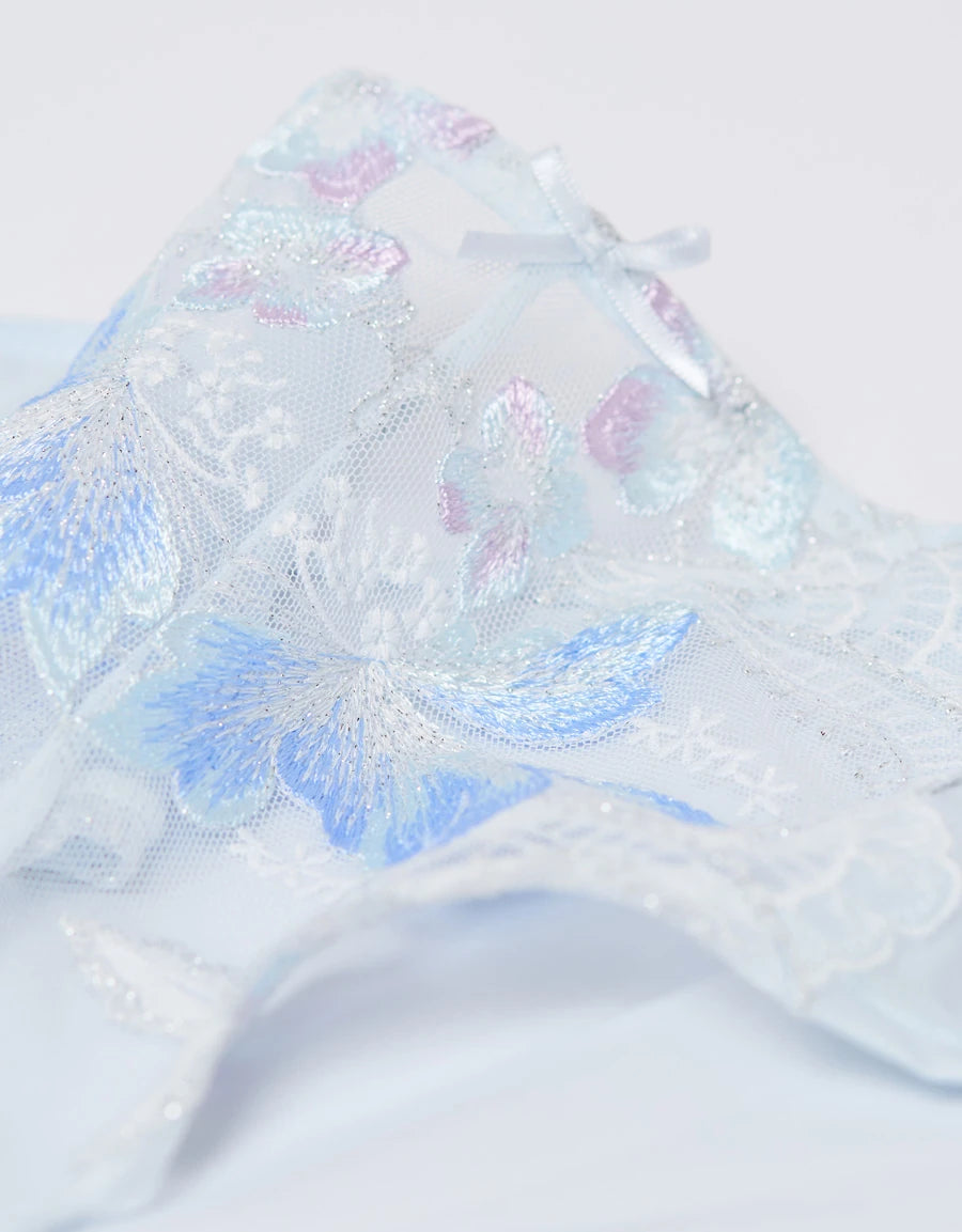 Embroidered Lace Bridal Hipster Panty