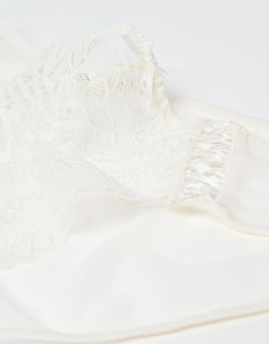 Lace Bikini Panty