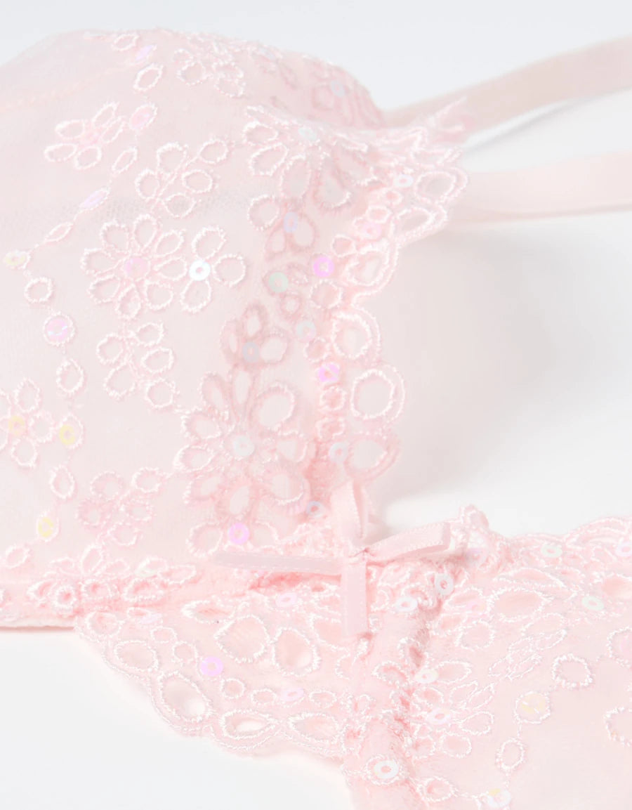 Embroidered Lace Plunge Bra