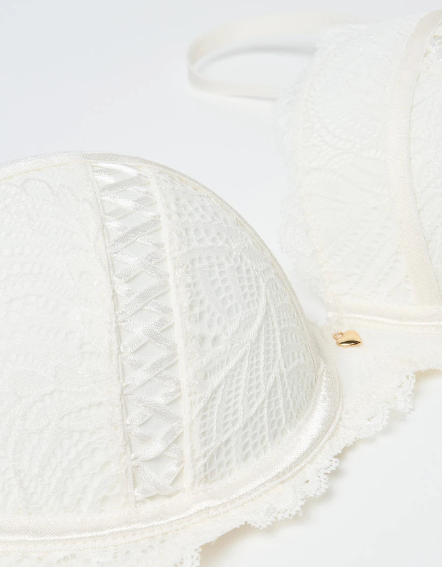 Lace Double Push-Up Plunge Bra